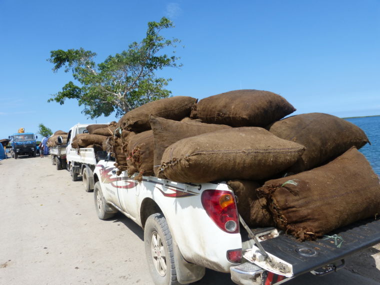 VT300 MILLION TO SUBSIDISE COPRA, COCOA PRICE